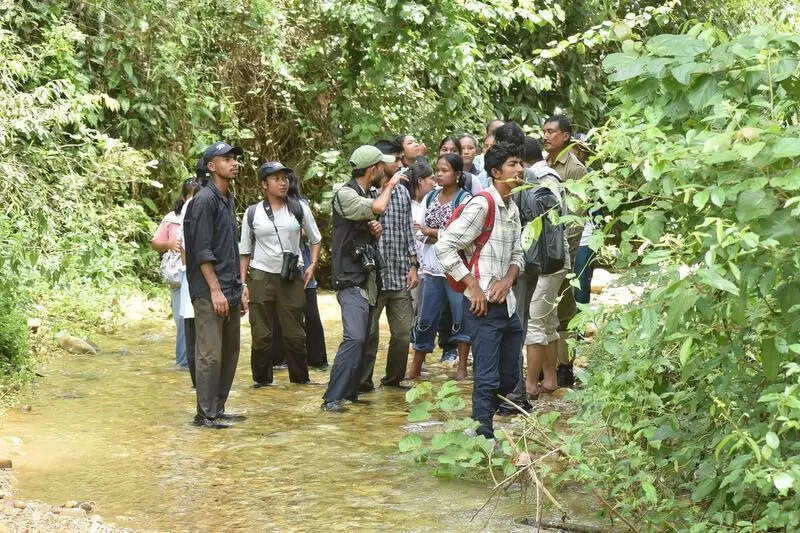 Wonder Wings: Over 70 butterfly species spotted on 1st Dulung Reserve Forest walk