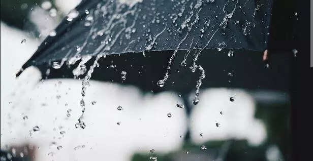 Heavy rain and strong winds cause widespread damage and disruption in Goa