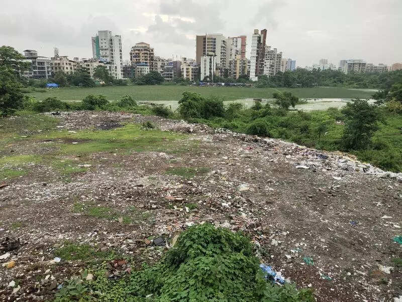 State Confirms Lotus Lake is a Wetland Despite CIDCO Claims
