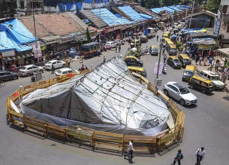 BMC to review 300 objections & suggestions on pigeon feeding issue