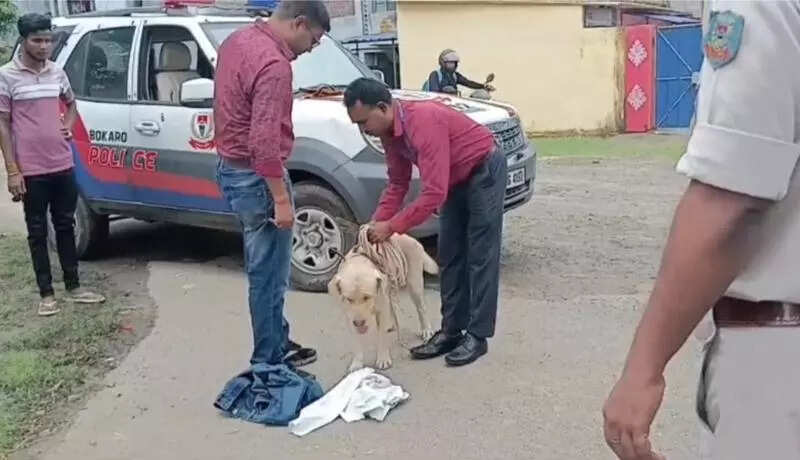 After sniffer dog, cops deploy drone to track missing govt hospital staff