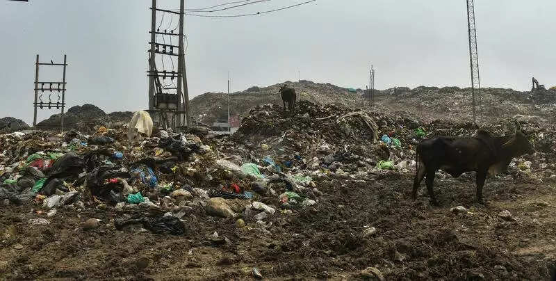 Haryana clears Rs90cr to process legacy waste at Bandhwari