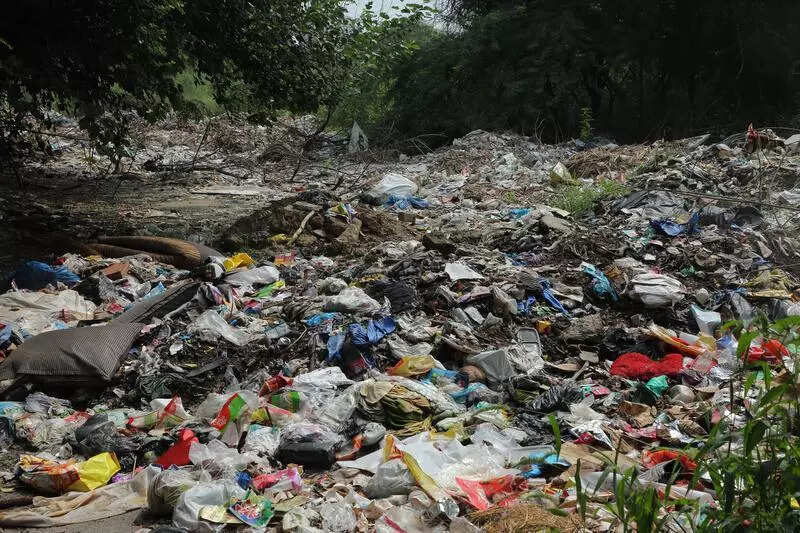 Resolve all sanitation complaints in 3 days, says Gurgaon civic body chief