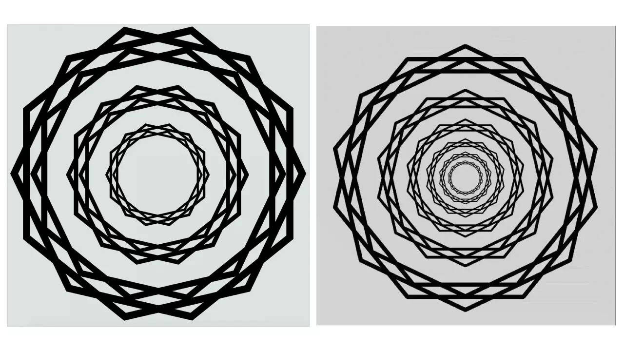 THIS mind-bending illusion will reveal how brain perceives reality