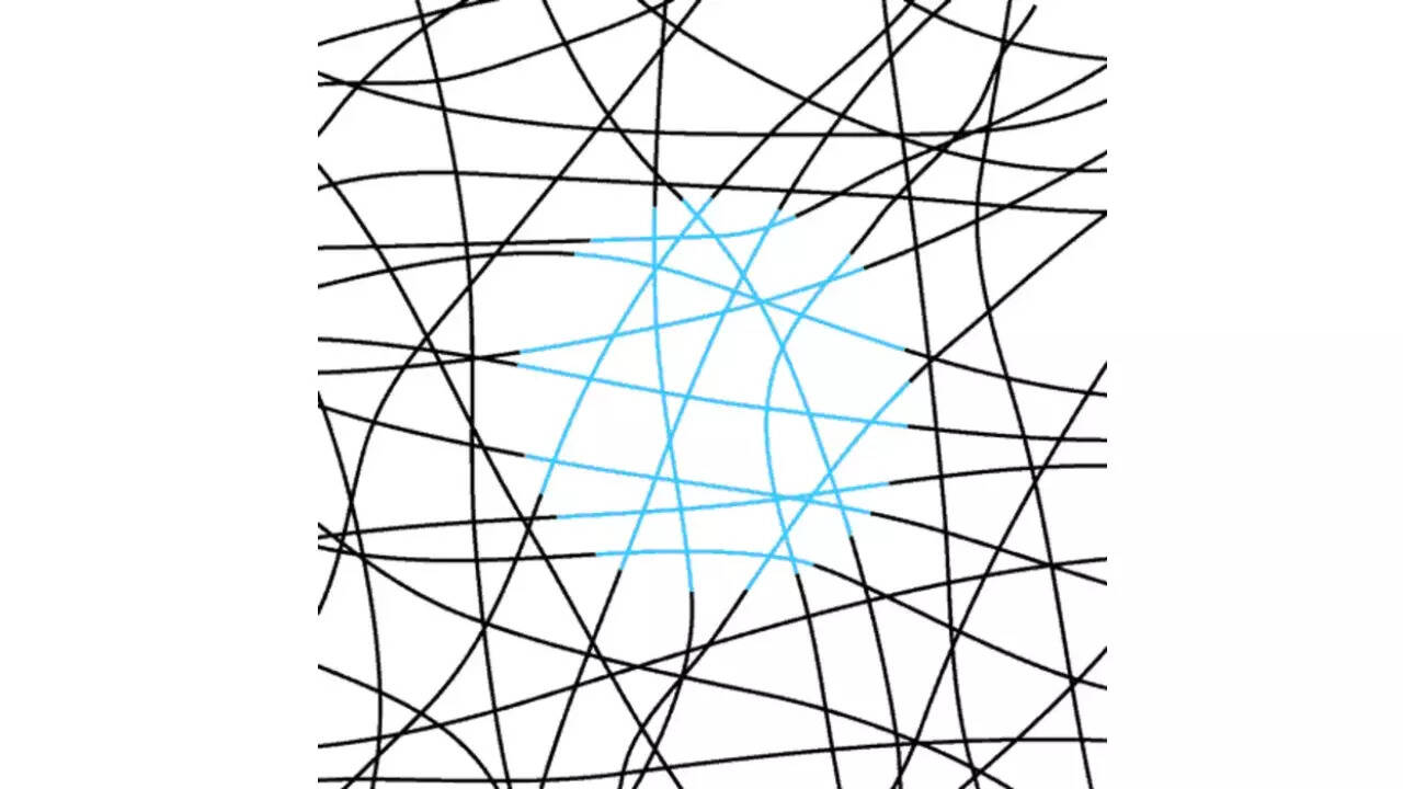 Optical illusions: These winding lines will fool one’s eyes, so look again