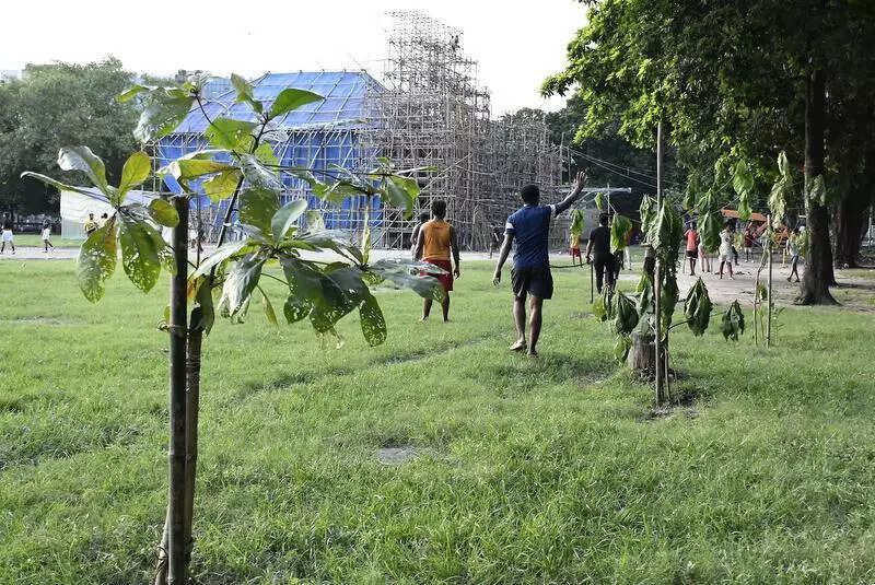 Citizens pledge to adopt 100 trees to boost Park Circus green cover
