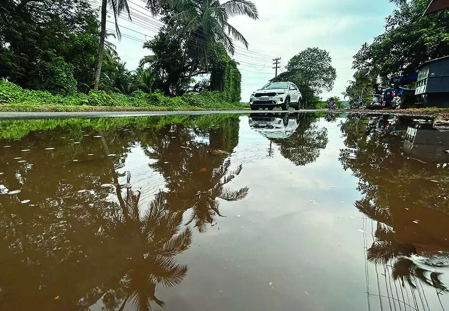 Aug brings heavy but uneven rainfall; more showers in Sep