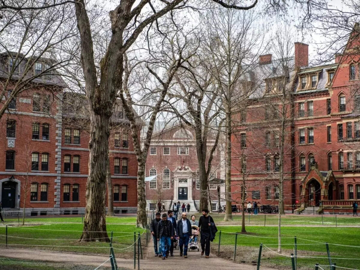 How much does it cost to study Economics at Harvard University?