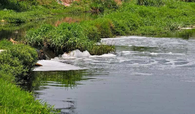 Check if effluents released into Yamuna meet treatment standards, CPCB told