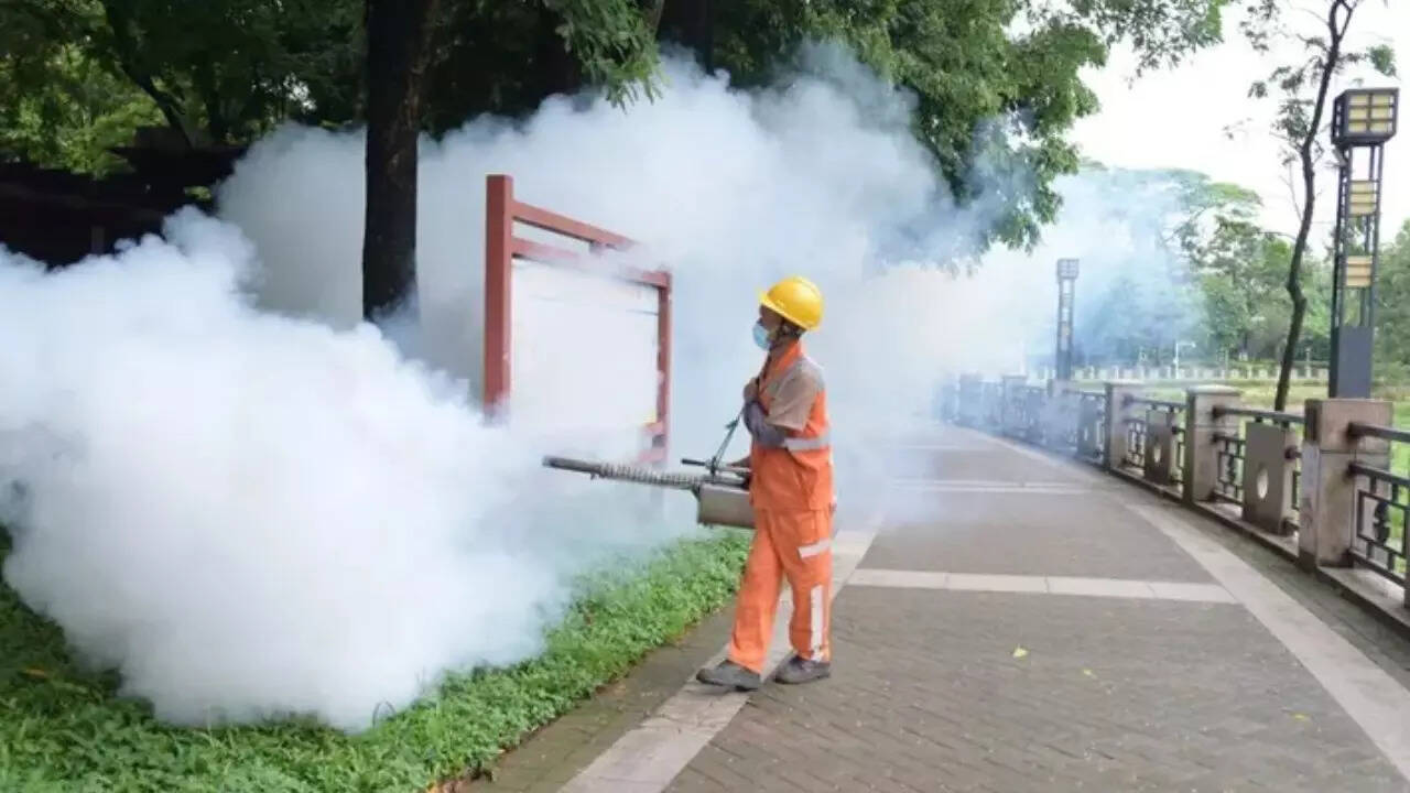 Chikungunya (1)