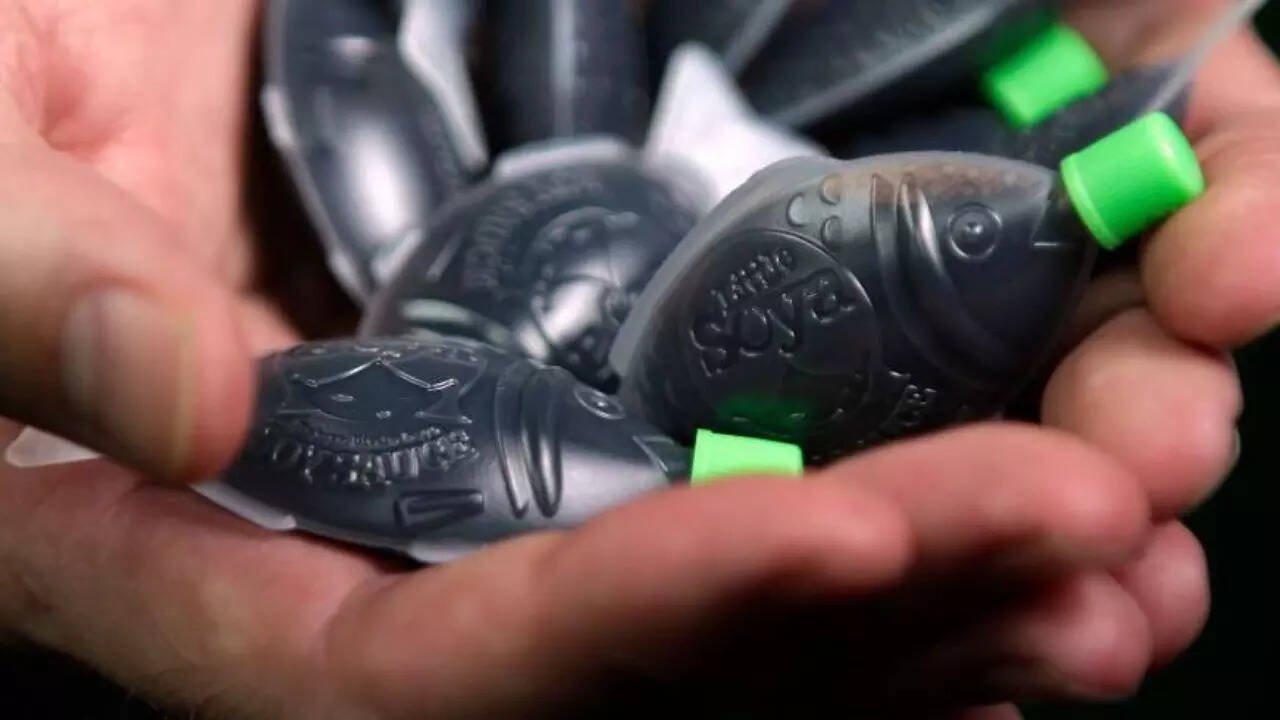South Australia bans fish-shaped soy sauce bottles leaving sushi lovers shocked; know why