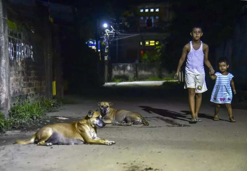 Rising stray count puts birth control programme under scrutiny