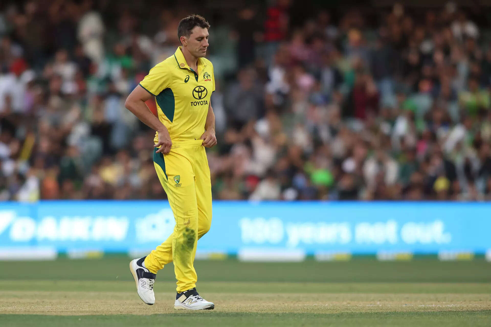 Cummins ruled out of India and New Zealand white-ball series due to back stress