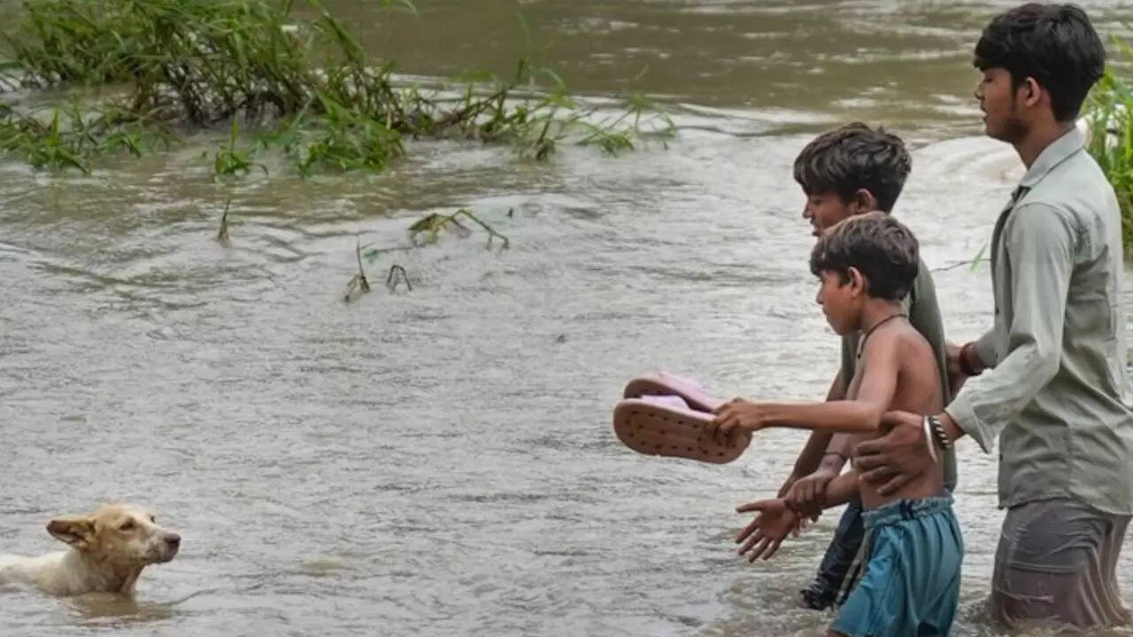 Yamuna threatens Delhi: Floodwaters enter homes; traffic advisory issued