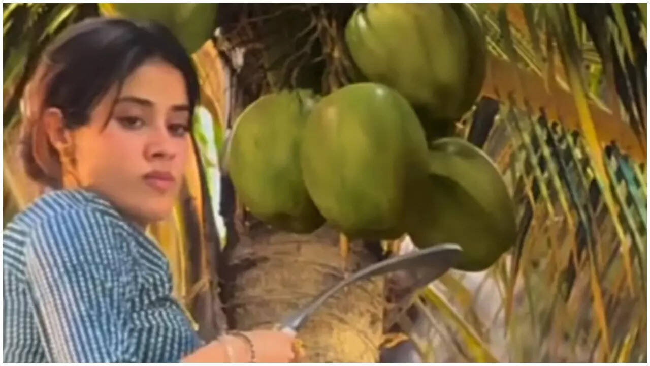 Janhvi's coconut tree scene sparks outrage: 'Bollywood logic…'