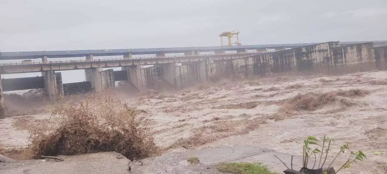 Yamunanagar administration steps up flood control measures, issues safety appeal to residents