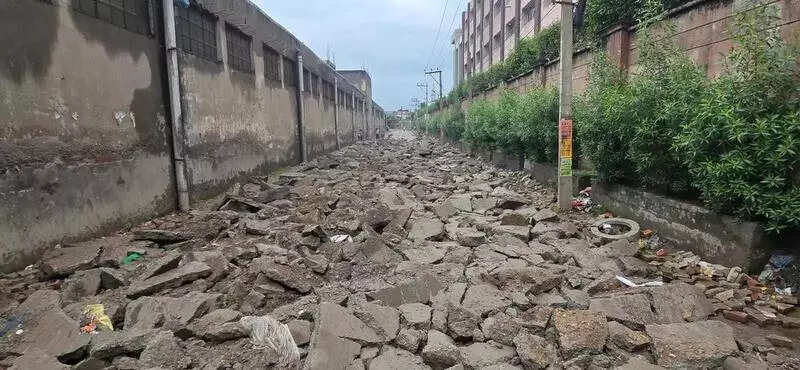 Ludhiana MC digs up new road after dy mayor flags poor quality