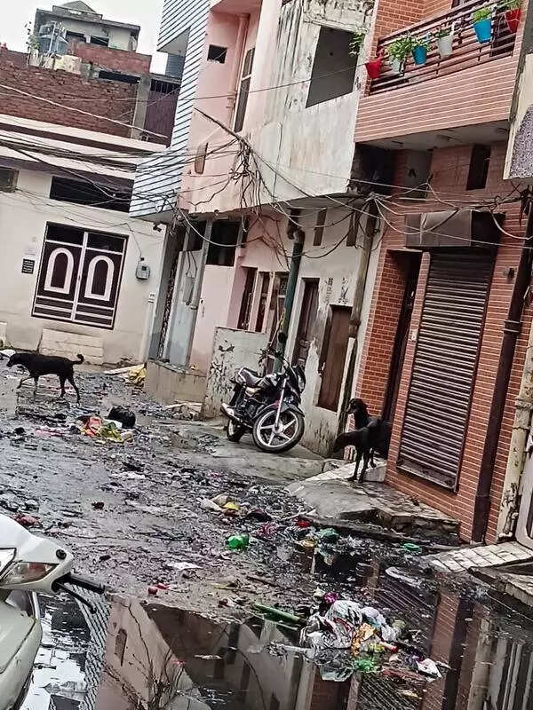 81 teams deployed on ground to monitor public health