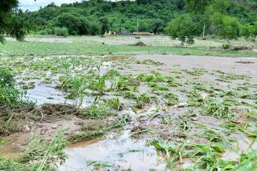 MSME Forum seeks Rs 1 lakh crore flood relief package for Punjab