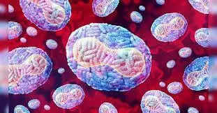 Kerala health department focuses on amoebic meningoencephalitis surveillance and research