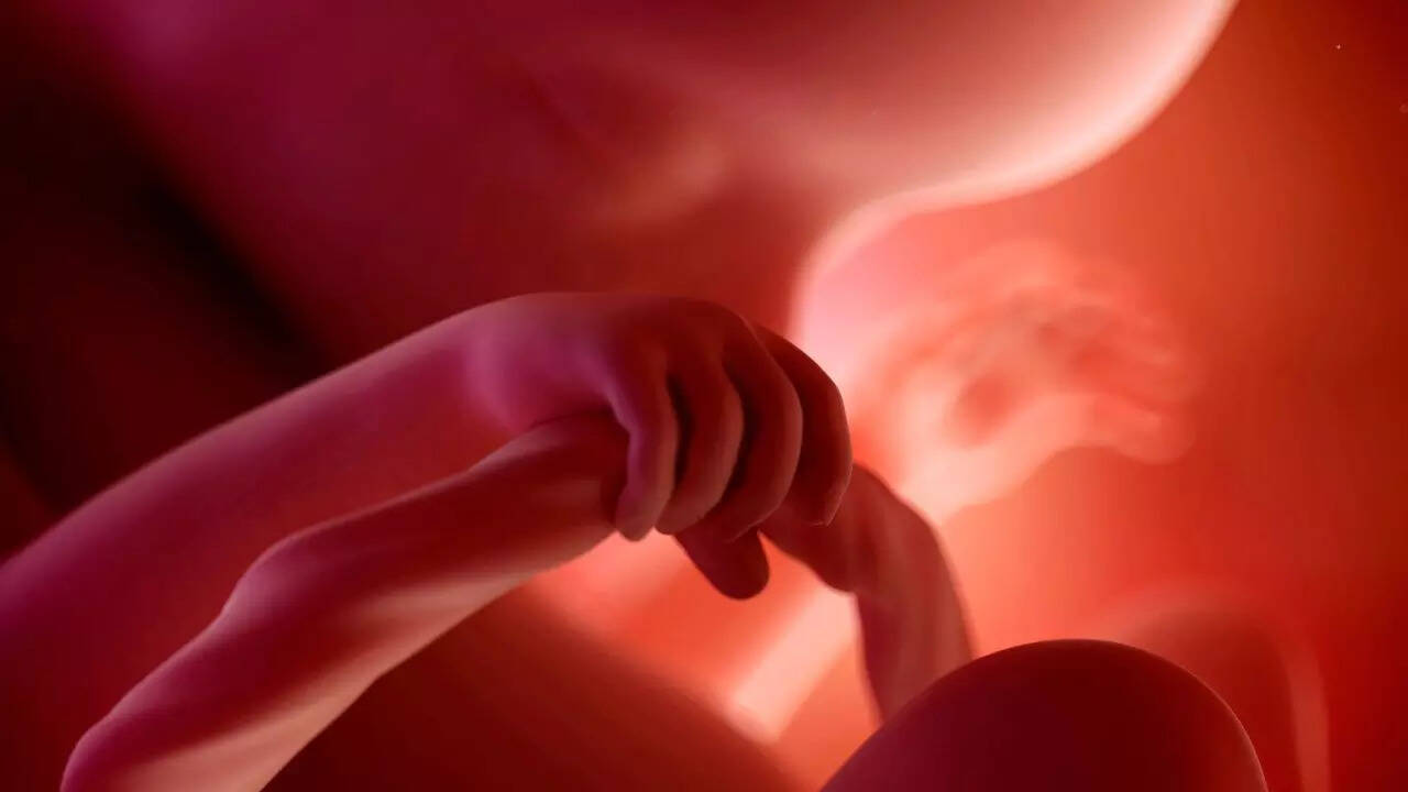 Microplastics in the womb: What we know about risks to unborn babies