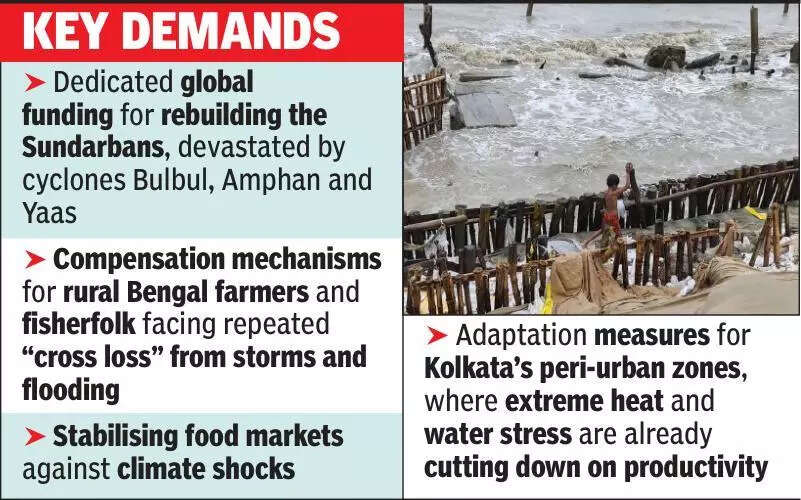 City experts highlight local climate shock issues ahead of COP30 meet