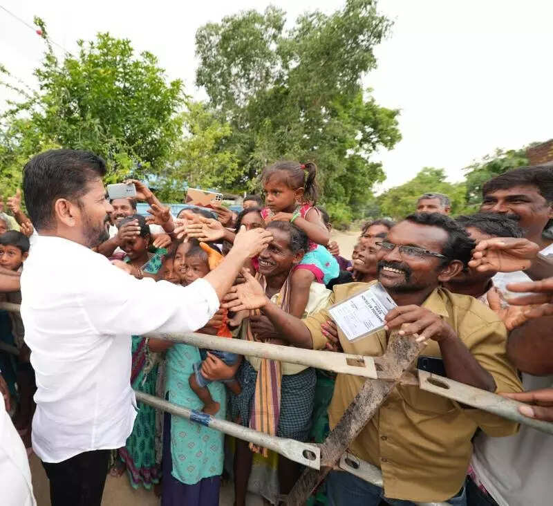 Ashoka visual data 8