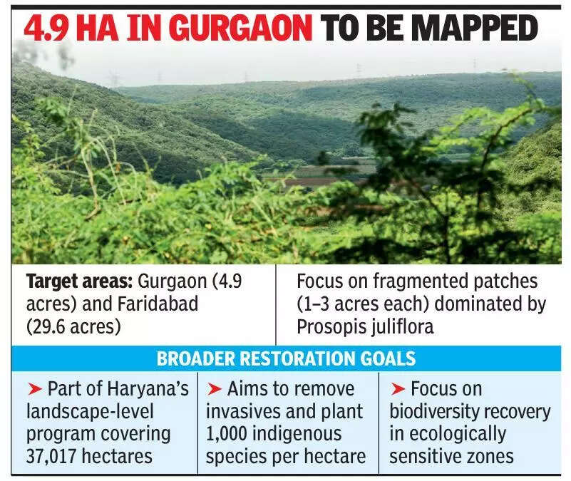 Mapping & removal of invasive Prosopis kicks off in Aravalis of Faridabad and Gurgaon