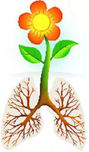 Mumbai couple wins preterm battle for baby with rare congenital tuberculosis, but ‘cure’ still a year away