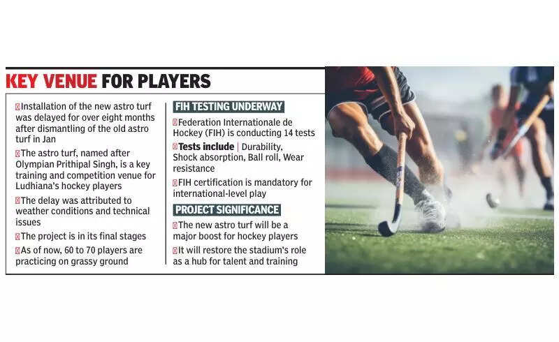 After eight-month hiatus, PAU to get its astro turf back