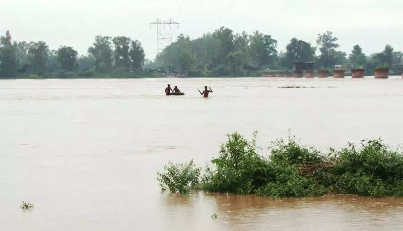 BJP member resigns over Centre’s response to Punjab floods