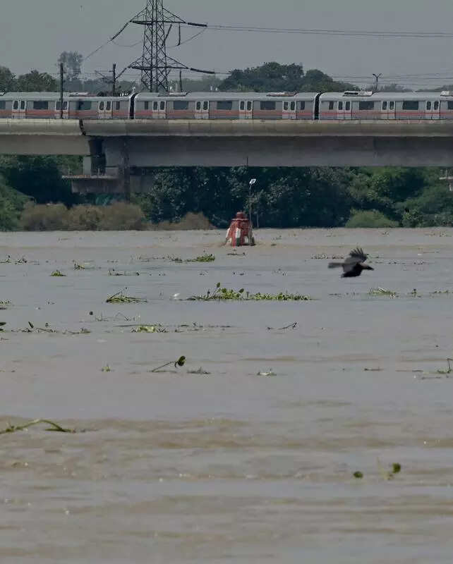 Why Yamuna Isn’t What It Used To Be