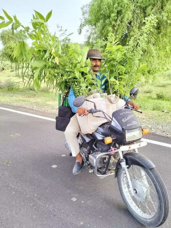 msid 123706030,imgsize 105838 https://jaipur.visitinrajasthan.com/wp-content/uploads/2023/10/cropped-cropped-R-2.png