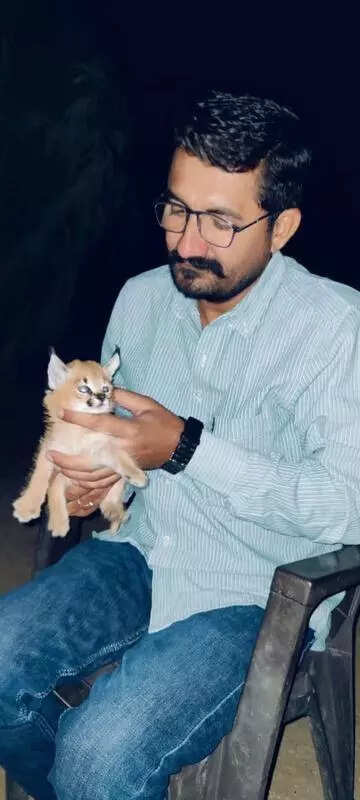 msid 123706142,imgsize 26232 https://jaipur.visitinrajasthan.com/wp-content/uploads/2023/10/cropped-cropped-R-2.png