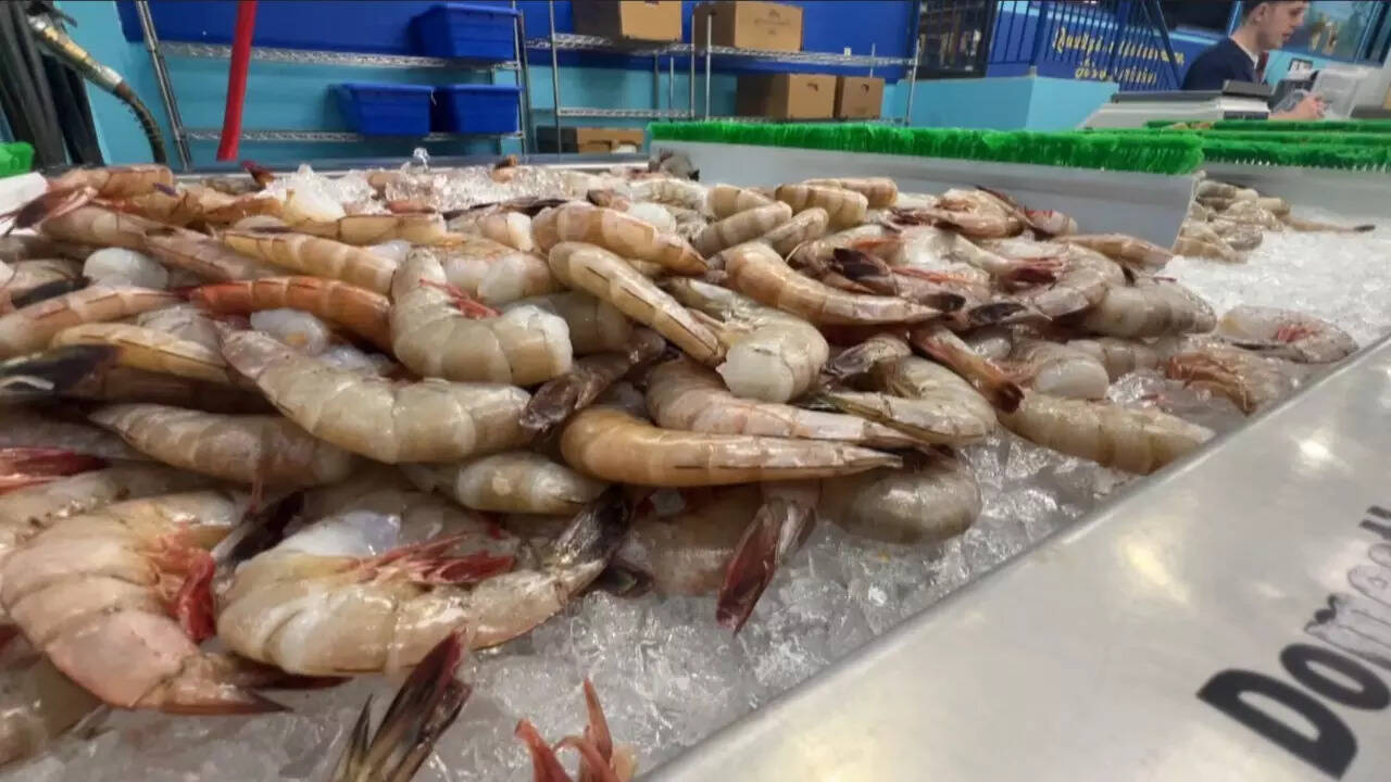 Shrimps (2)
