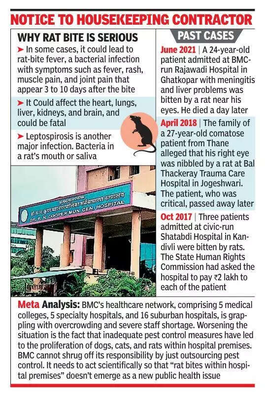 Rat bites 85-year-old patient at BMC-run Cooper Hospital in Mumbai