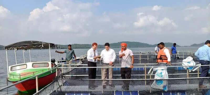 Judge, DC inspect cage culture fish farming in H’bag