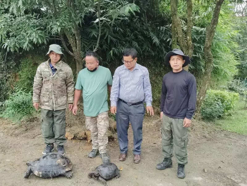 2 Asian tortoises handed over for conservation in Manipur’s Tamenglong