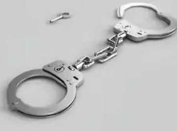 Chain-snatching suspects escape