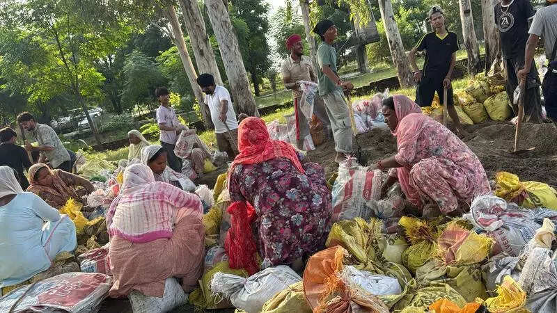 Women volunteers lead efforts to strengthen Satluj embankment