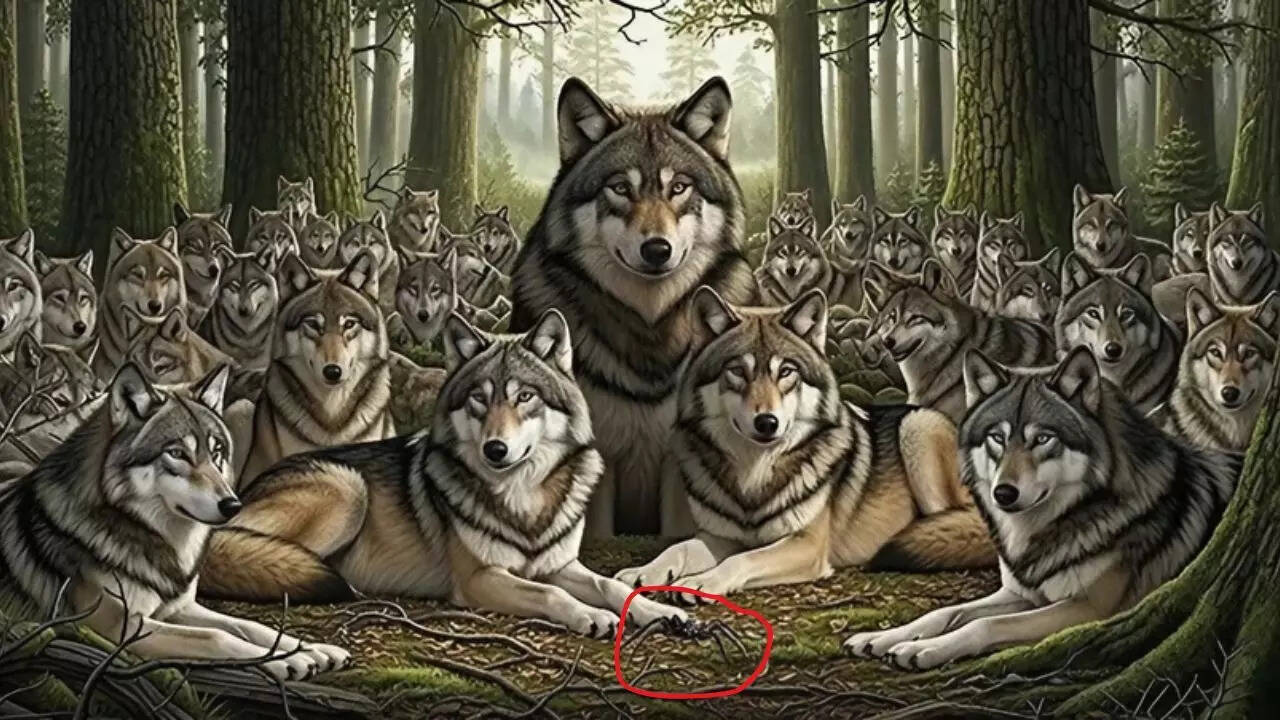 Optical Illusion Answer