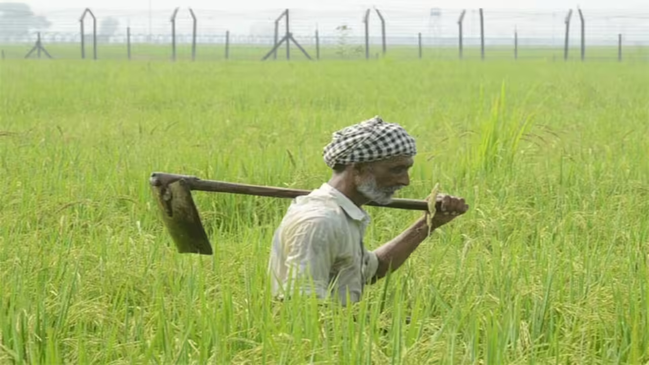 Food security: Smallholder farmers hold key to tackling global food crisis, says ICAR director