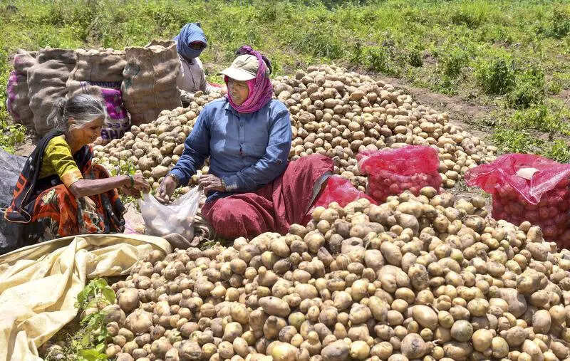 Over Rs 550-crore crops lost due to rain; 111 people died since April