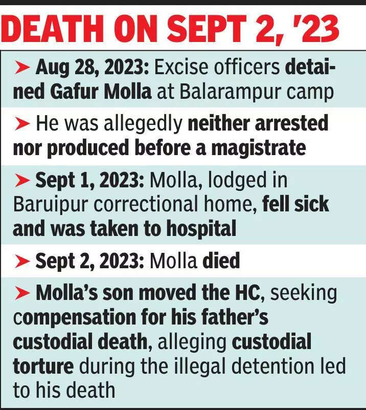 Custody death due to disease no ground for compensation: HC