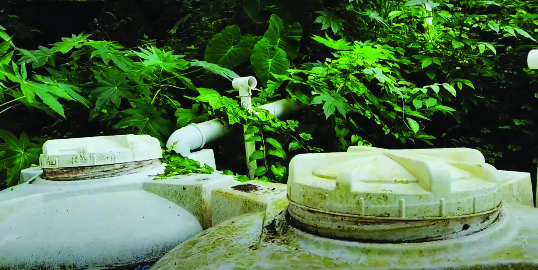 Edu institutes make beeline for WRD’s water harvesting scheme