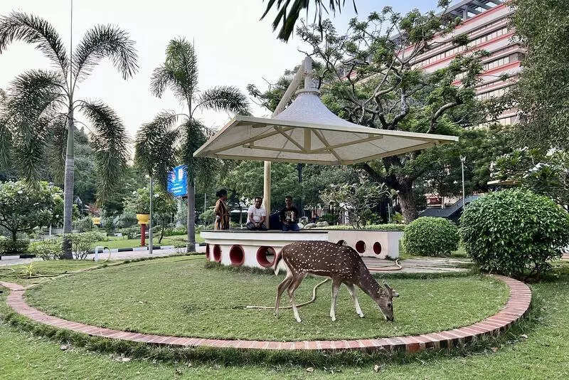 IIT-M launches free AI course for school teachers