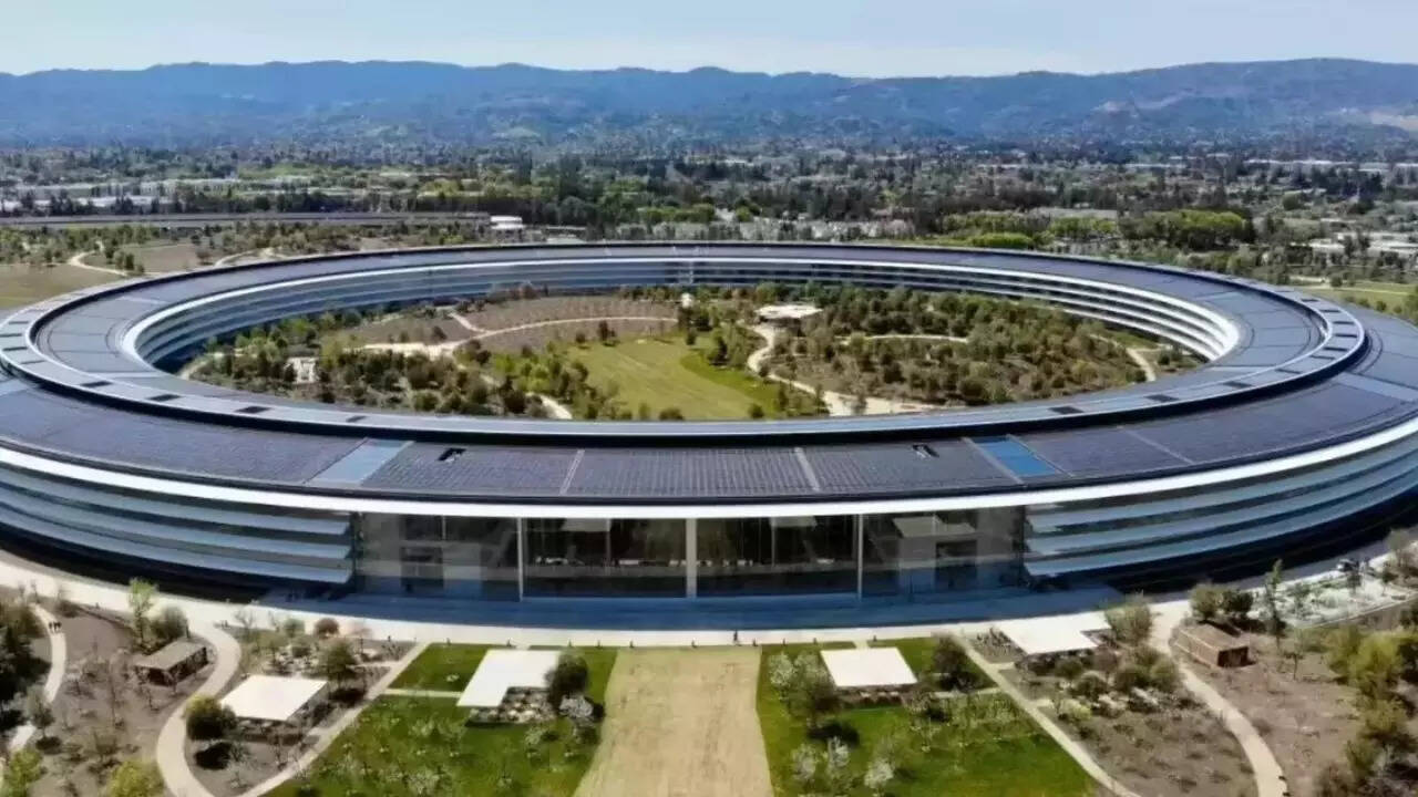 'If Trump bans Indian IT...': Influencer's take on H-1B goes viral; says Indians work hardest