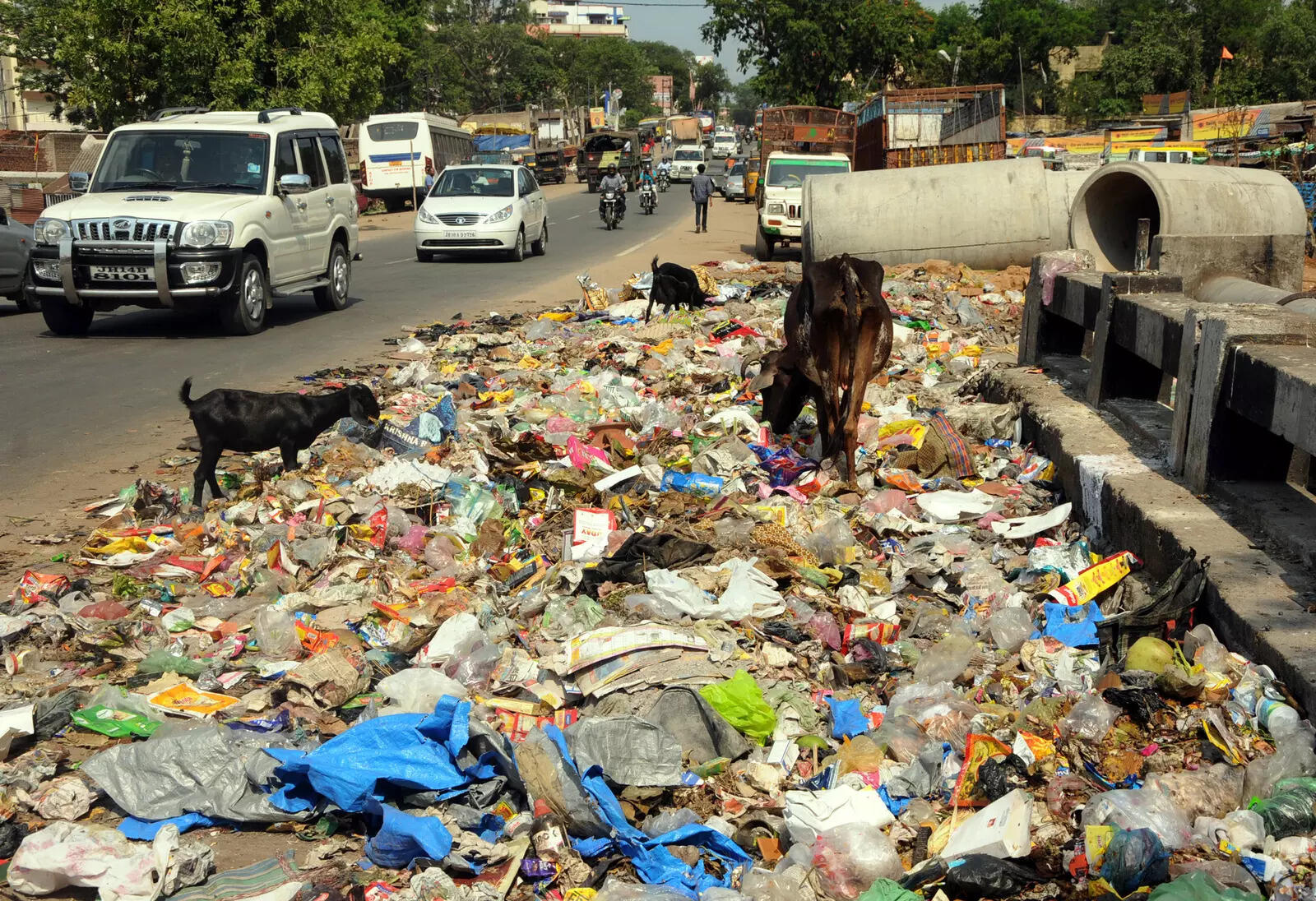 Ranchi Municipal Corporation Implements Strict Penalties for Open Dumping Ahead of Festive Season