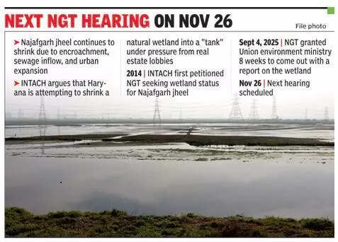 11 years on, no wetland tag for Najafgarh jheel; Centre gets 2 months more to decide