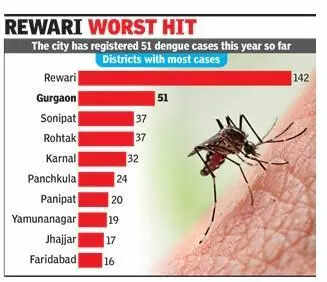 Dengue tally crosses 500 in Haryana, Gurgaon at second spot with 51 cases